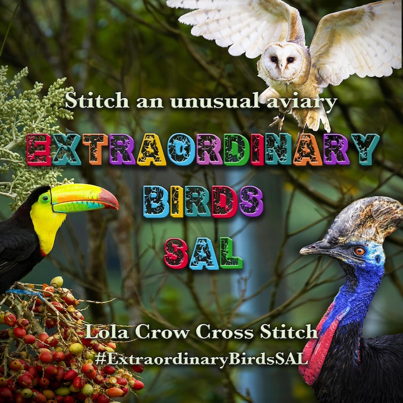 Extraordinary Birds - Stitch Along Cross Stitch Pattern - PDF Instant Download