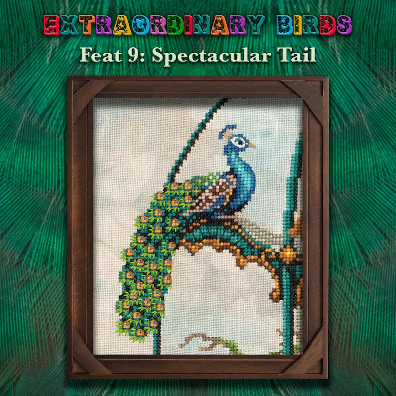 Extraordinary Birds - Stitch Along Cross Stitch Pattern - PDF Instant Download